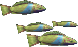 Surf Wraddock
