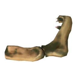 Damaged Shark Jaw
