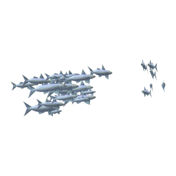 Silver Sturlet