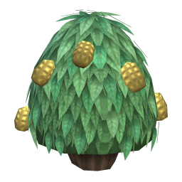Ridged Haleberries