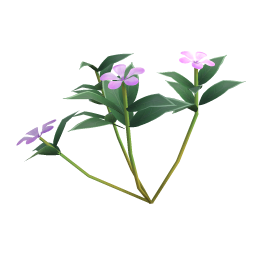 Royal Periwinkle