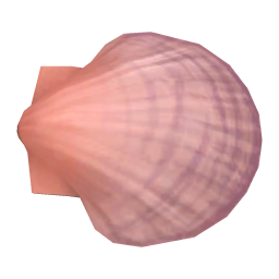 Dish Shell