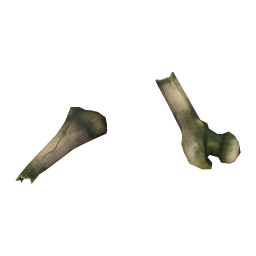 Musty Femur Shard