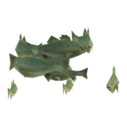 Smallmouth Bass