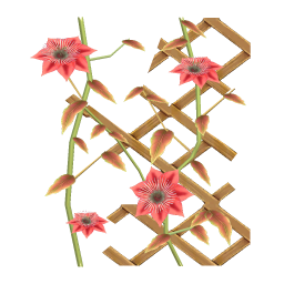 Scarlet Wallplant