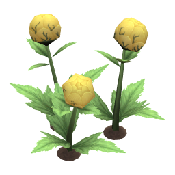 Veined Globeplant