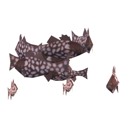 Spotted Bass