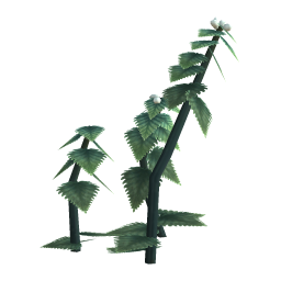 Heartleaf Nettle