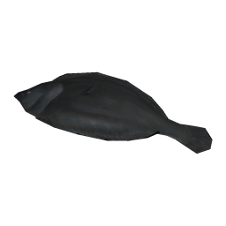 Black Flounder