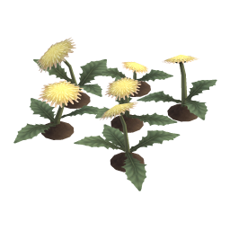 Faded Dandelion