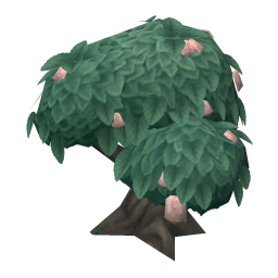 Salvo Bitterfruit