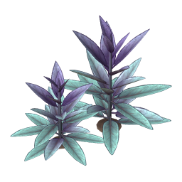 Glade Sage