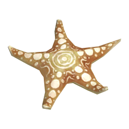 Nebula Starfish
