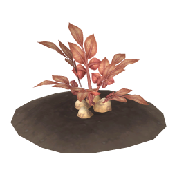Bollbark Potato