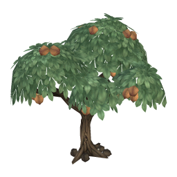 Sweet Chestnuts