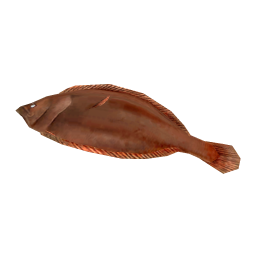 Arrowtooth Flounder