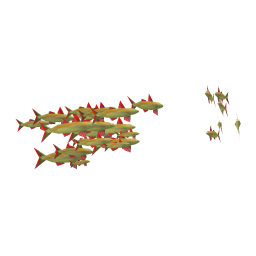 Western Sturlet