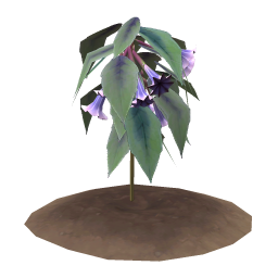 Mauve Bellplant