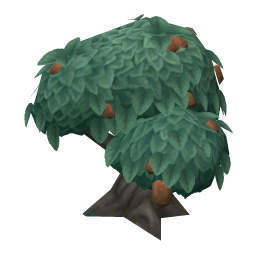 Shriveled Bitterfruit
