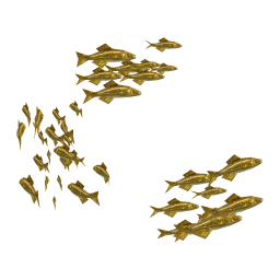 Golden Herring