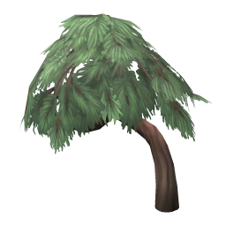 Juniper Tree (average)