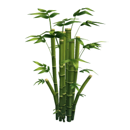 Bamboo (average)