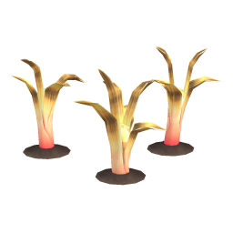 Salubrious Leek