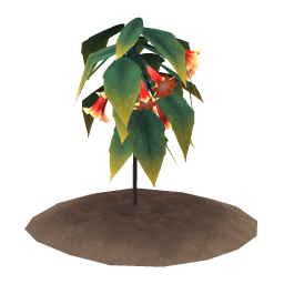 Grandprize Bellplant
