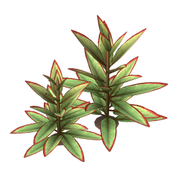 Mighthelm Sage