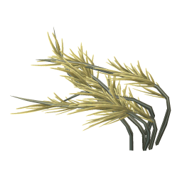 Silty Pond Weed