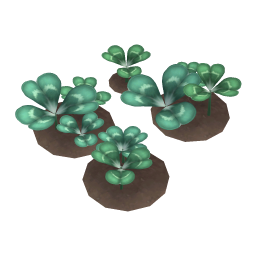 White Clover