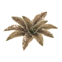 Crackle Dock Leaf