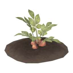 Calystra Potato