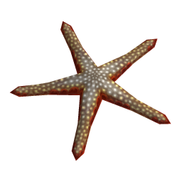 Bloody Henry Starfish