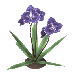 Purple Orchid