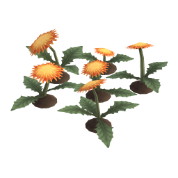Sunshine Dandelion