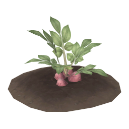 King Phelwan Potato