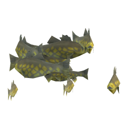 Jumbo Bass