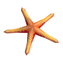 Firebrick Starfish
