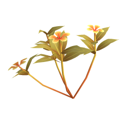 Greater Periwinkle