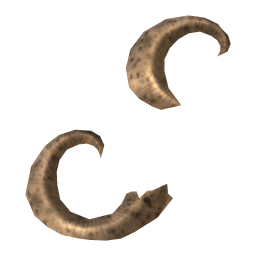 Mottled Rams Horn