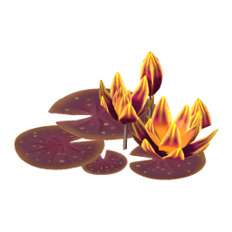 Dragon's Breath Water Lily