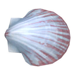 Crown Shell