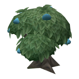 Blue Tangfruit