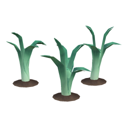 Pineshade Leek