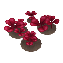 Amaranth Clover