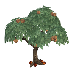 Backstone Chestnuts