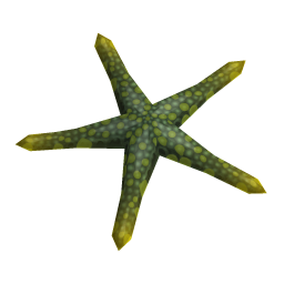 Granulated Starfish