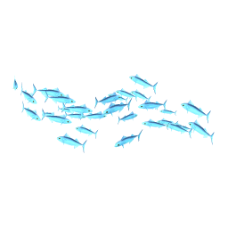 Blue Mackibut