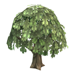 Oak Tree (average)